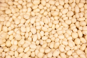 yogurt covered raisins