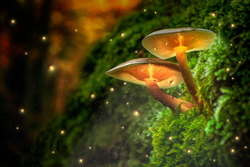 Glowing mushrooms on moss and fireflies in forest at dusk