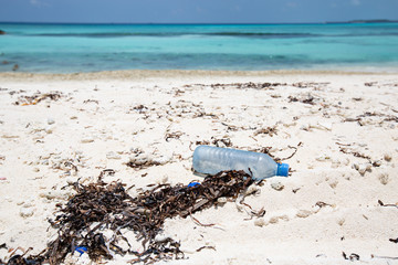 Fototapeta na wymiar Plastic bottle on sandy beach. Garbage at tropical shore