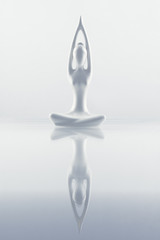 Fototapeta premium yoga and meditation isolated on white background