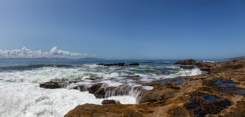 Botanical Beach, Port Renfrew, Vancouver Island, British Columbia, Canada. Beautiful Panoramic View of a Rocky Beach on the Pacific Ocean Shore during a sunny summer day.