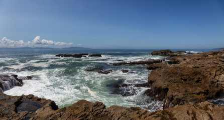 Fototapeta na wymiar Botanical Beach, Port Renfrew, Vancouver Island, British Columbia, Canada. Beautiful Panoramic View of a Rocky Beach on the Pacific Ocean Shore during a sunny summer day.