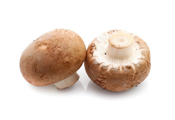 champignon mushrooms on white background