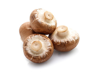 champignon mushrooms on white background