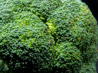 A Macro Shot of Broccoli