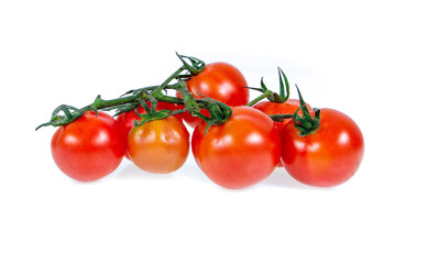 tomato isolated on white