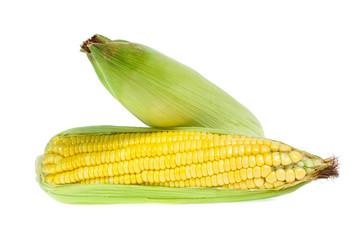 An ear of corn isolated on a white background