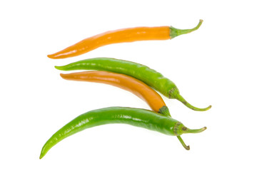 chilli isolated on white background