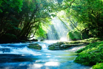 Kikuchi-Tal © kai