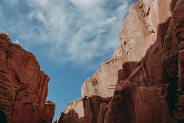 red rocks in zion national park