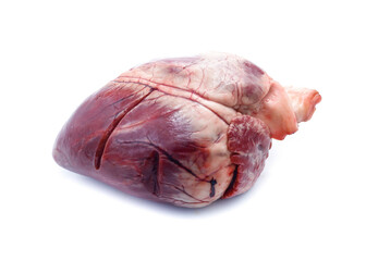 raw pig heart close-up isolated on white background