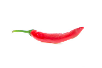 chilli isolated on white background
