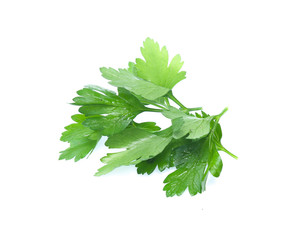 Parsley herb isolated on white background