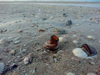 Broken glass bottle wastes on the beach has sand pollutants that damage the environmental and...