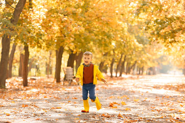 Cute little boy having fun in autumn park