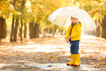 Cute little boy with umbrella in autumn park
