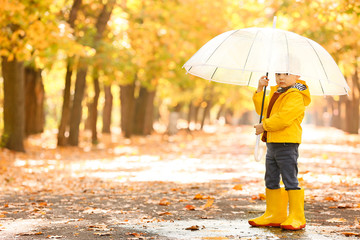 Cute little boy with umbrella in autumn park