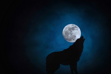 Silhouette of howling wolf and full moon background with moonlight night sky. Elements of this photo furnished by NASA. © Poh Smith