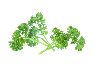 Parsley isolated on white background