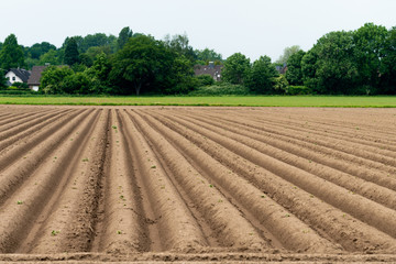 Fototapeta na wymiar Ploughed field, springtime agricultural background