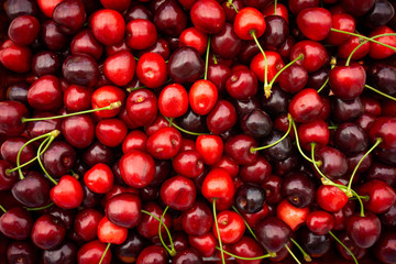 Cherry. Fresh organic berries. Fruit background