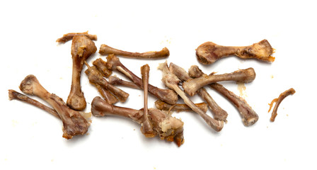 Chicken bones on a white background.