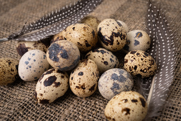 Fototapeta premium Fresh quail eggs. Rustic style