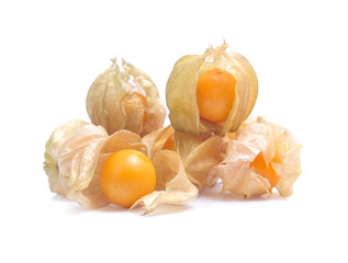 Physalis ,cape gooseberry isolated on white