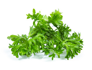 Parsley isolated on white background