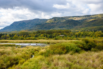 Stormy landscape, marsh grasses surrounding Brooks River and cloudy sky, Katmai National Park, Alaska, USA