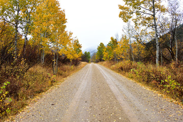 Road in Autumn