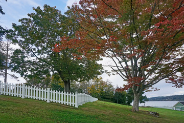 Gamblewood Park Port Gambel Washington