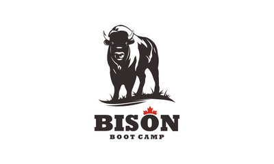 logo the bison boot camp vector  © agusta