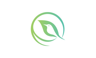 Bird logo vector design template in isolated white background