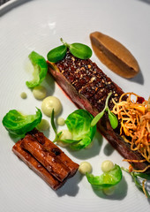 Haute cuisine - a beef steak with greens topping and sauce on a white dish and dark background