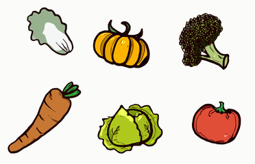 Vegetable Lettuce carrot pumpkin cabbage broccoli tomato