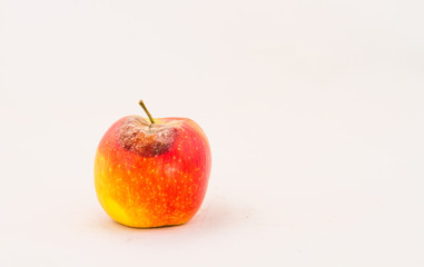 A single red apple with a rotten spot isolated on a clear background image with copy space in horizontal format