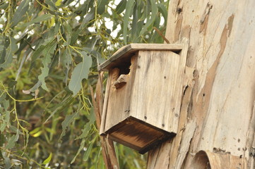 birdhouse on tree