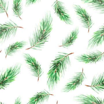 Watercolor Vintage seamless pattern. With a picture - a branch of spruce, Pine, fir-tree and cedar, bird feather. The pattern of pine branches. Use for various designs, materials, packaging, paper. 