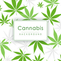 Marijuana leaves seamless vector pattern. Cannabis plant green background. Dense vegetation of ganja.