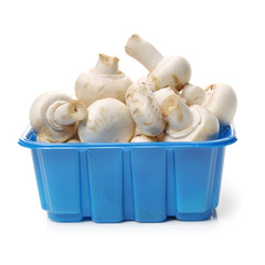 White mushrooms on white background