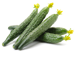 Green cucumber on the white background