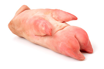 Fresh pig trotter on white background