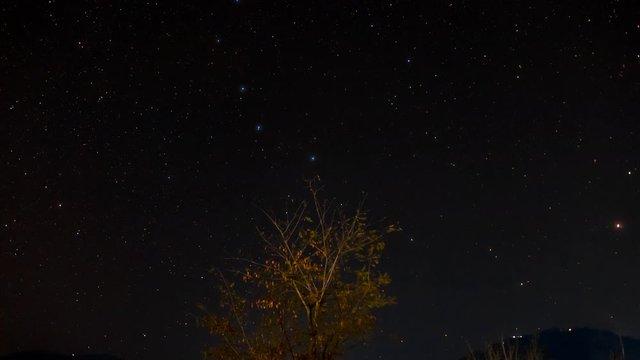 Night sky timelapse with a tree as a central foreground element. Long exposure Wide Shot. Location: BesiSahar, Lamjung, Nepal.