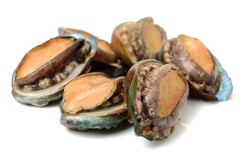 Raw abalones on the white background 