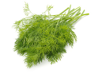 dill isolated on white background 