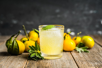 Gin based sweet old-fashioned cocktail mandarin juice and sage leaves on the rustic background. Selective focus. Shallow depth of field.