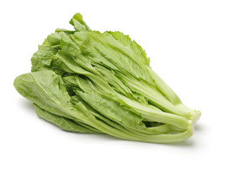 Fresh green mustard on white background