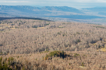 Fototapeta premium South Urals. Autumn mountains. View of the Bakty and Kumardak ridges.