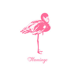 vector flamingo. pink flat illustration with cursive handwritten lettering. design element for card, t shirt, banner, invitation, vignette, flyer, message, poster, sign, banner. one color image